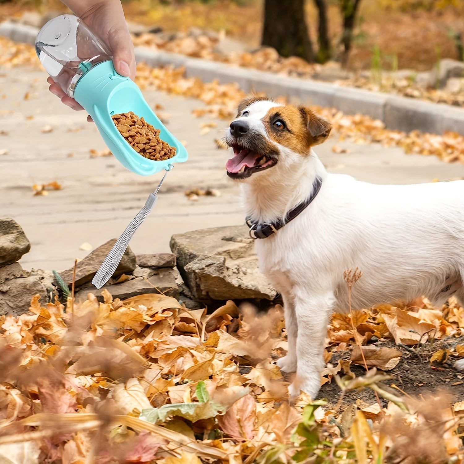 Two In One Portable Water Bottle For Dogs