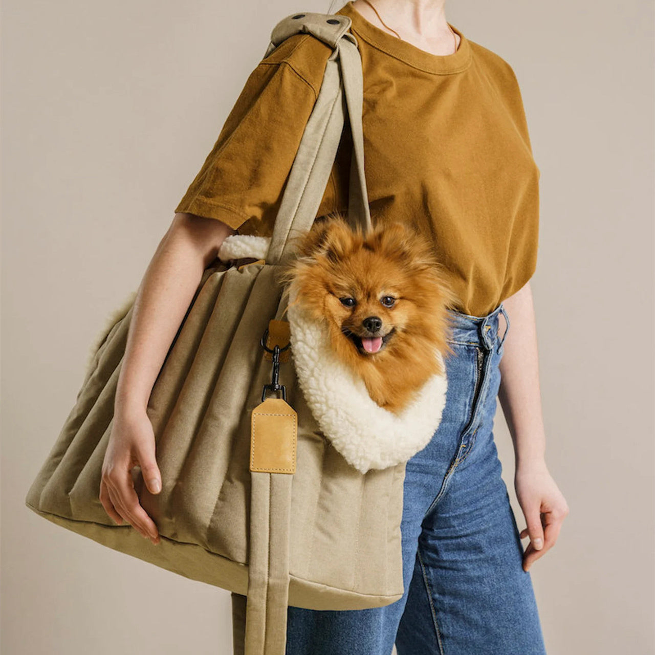 Small Pet Portable Handbag For Cozy And Comfortable Outings