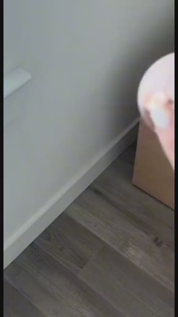 Reusable Lint Roller Pet Hair Remover Ball For Easy And Clean Living